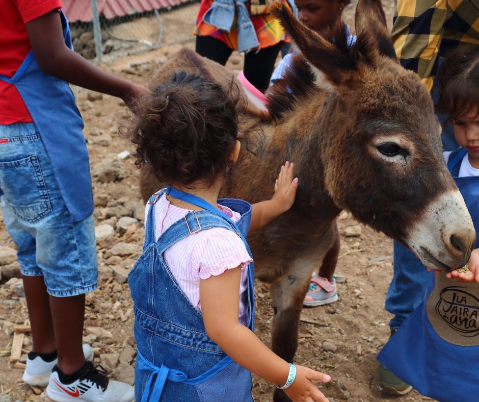 School trips in Gran Canaria.