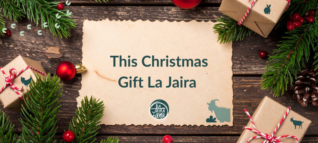 Bono regalo de Navidad, una experiencia con alma para estas fiestas
