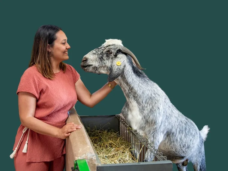 Visitor stroking a goat at La Jaira de Ana